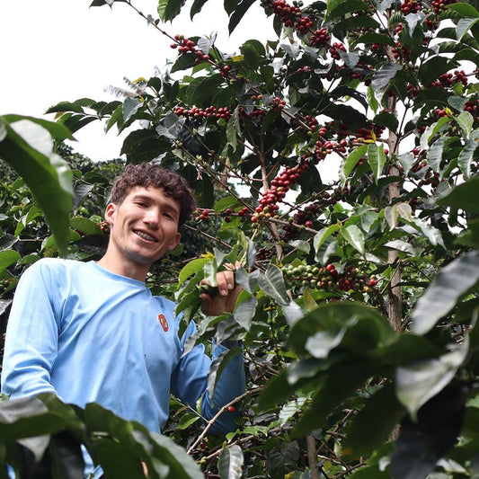Colombia Asospac Fairtrade Organic
