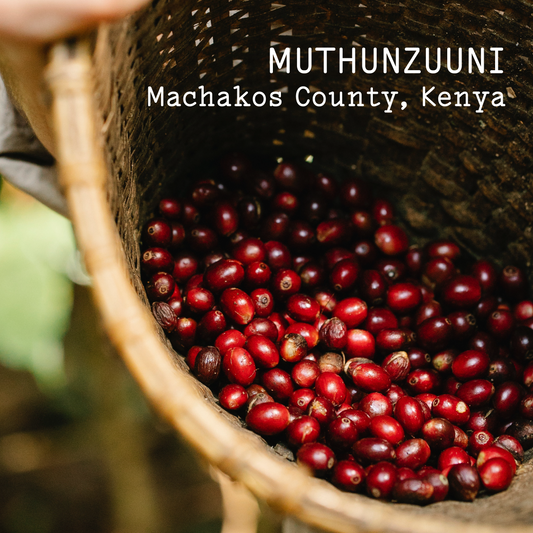 Kenya Muthunzuuni