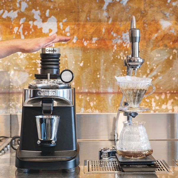ceado e37s espresso grinder